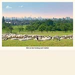 Blick von Bad Homburg nach Frankfurt (AK 138)