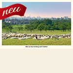 Blick von Bad Homburg nach Frankfurt (AK 138)